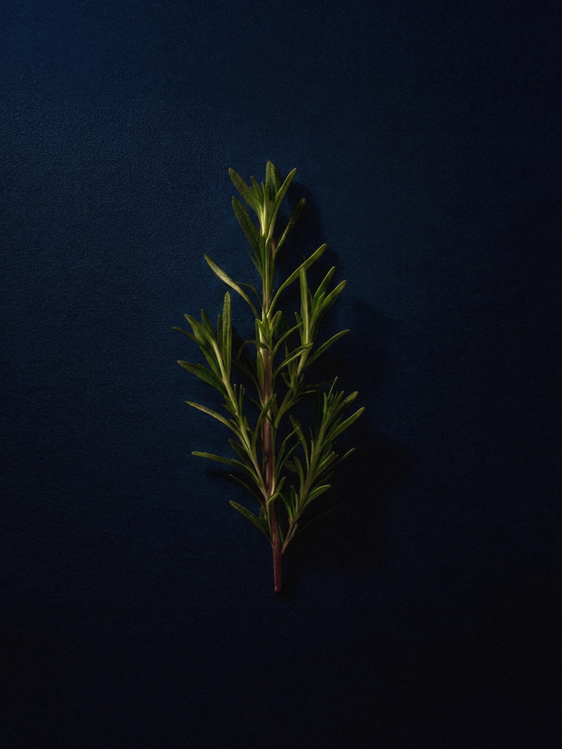 Rosemary
