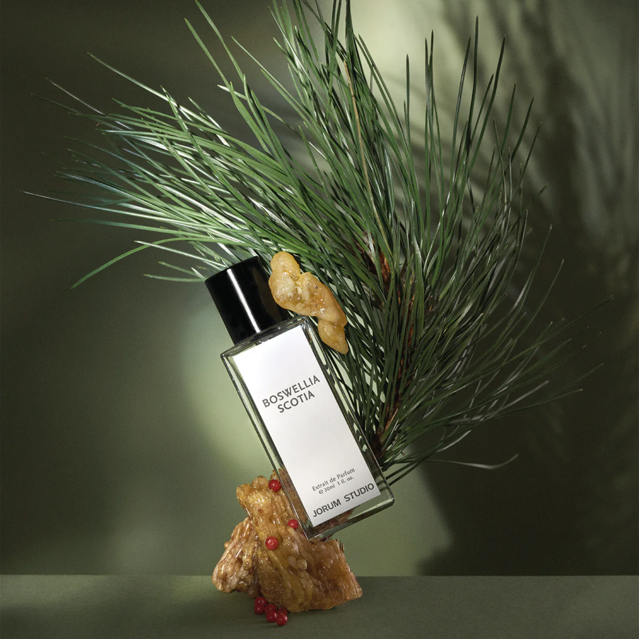 Boswellia Scotia Extrait de Parfum