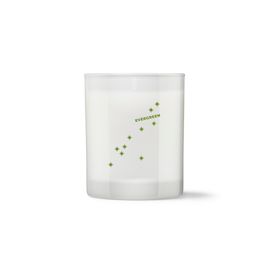 Evergreen Candle - Balsam Fir and Cedar