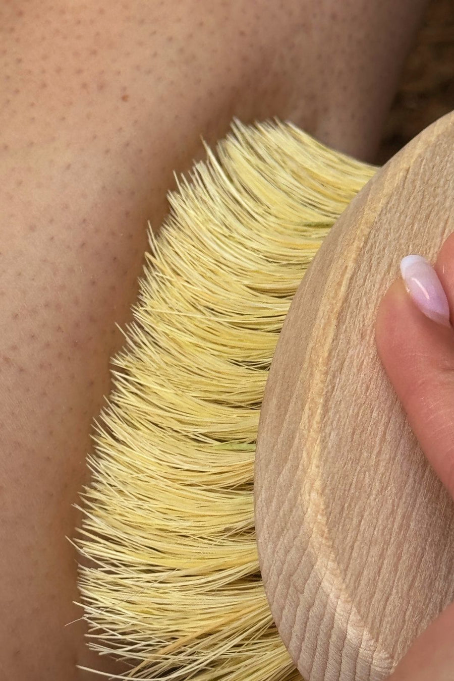 Close-up of a natural vegan  bristle brush being used on skin