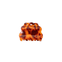 Tortoise Muse Clip